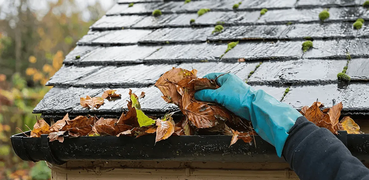 Gutter cleaning technician clearing wet leaves from roof gutters in Reno, NV